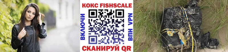 COCAIN Fish Scale  гидра   Нытва  сколько стоит 