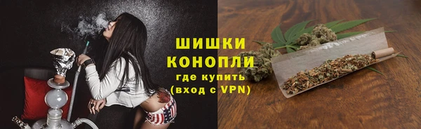 твердый Аркадак