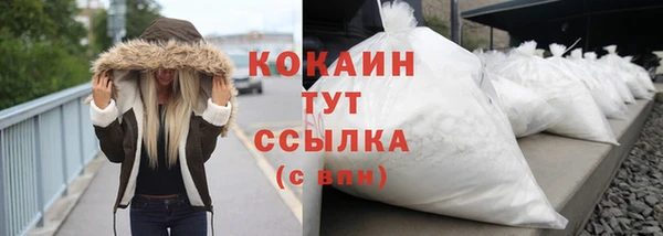 твердый Аркадак