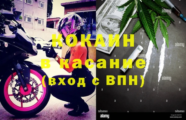 твердый Аркадак