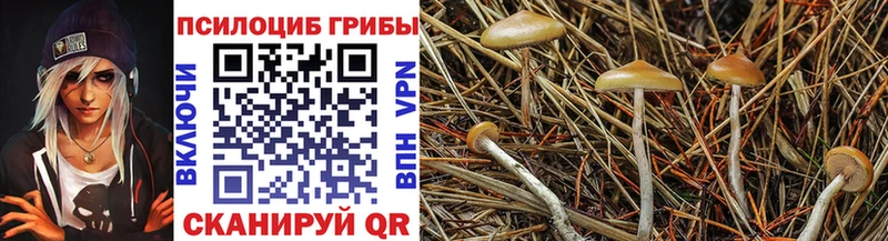 omg онион  Нытва  Галлюциногенные грибы GOLDEN TEACHER 